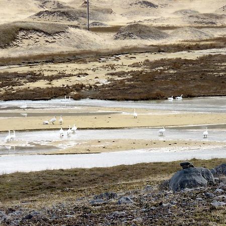 PatreksfjordurStekkar 23公寓 外观 照片