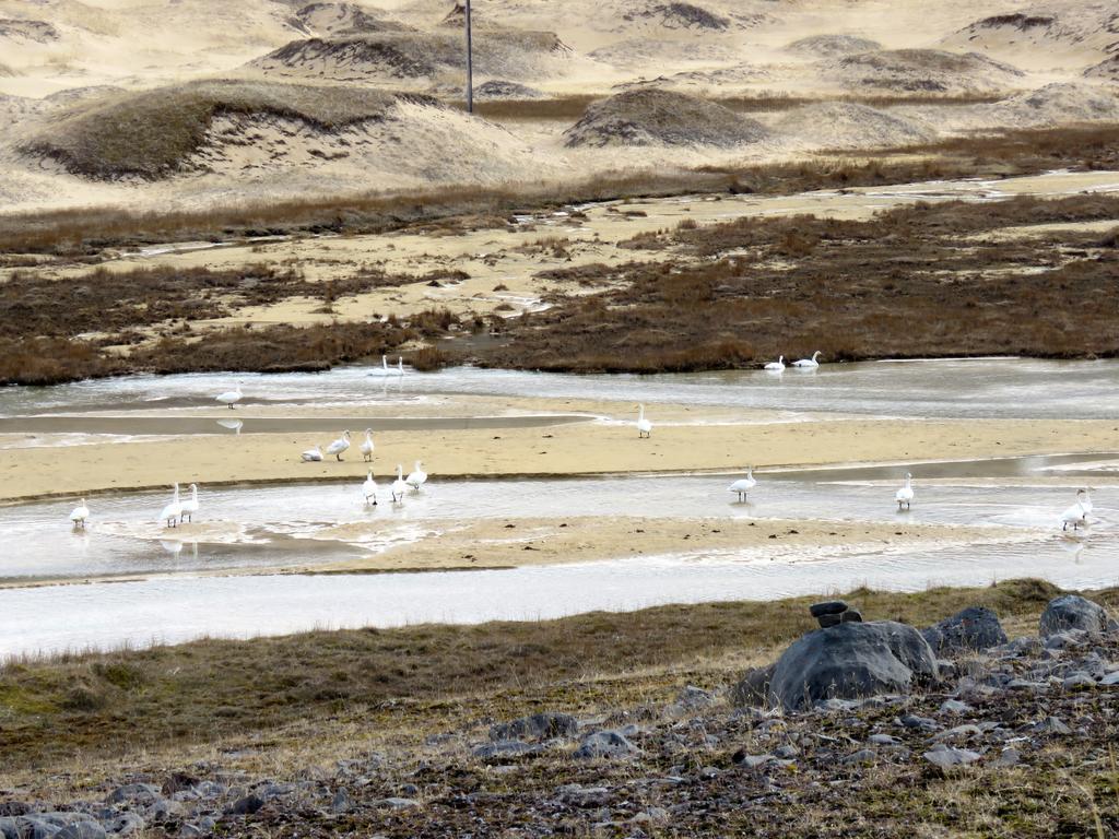 PatreksfjordurStekkar 23公寓 外观 照片